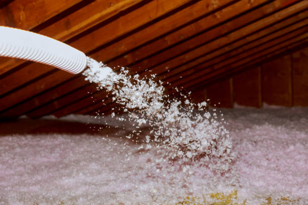 Best Spray Foam Insulation in Springhill, LA