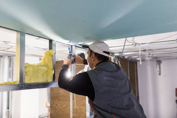 Best Eco-Friendly Insulation in Springhill, LA
