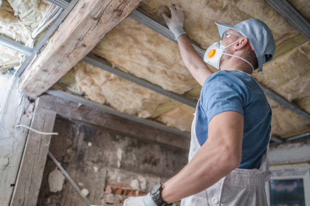 Trusted Springhill, LA Insulation Contractor Experts