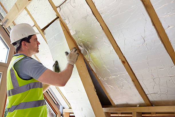 Best Eco-Friendly Insulation in Springhill, LA