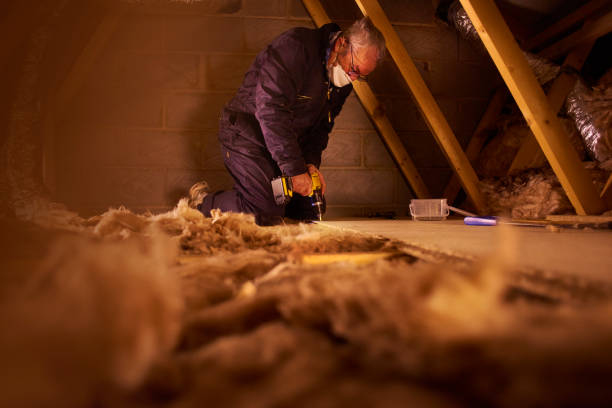 Best Residential Insulation in Springhill, LA